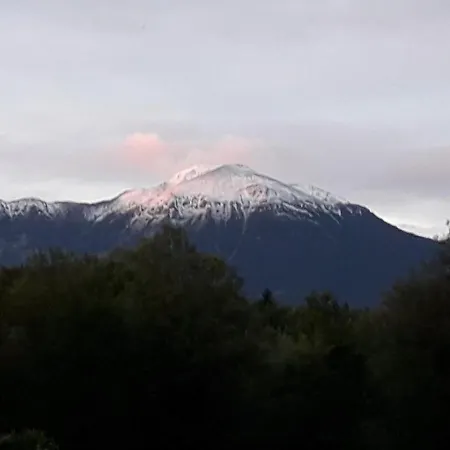 Alpine * Bled