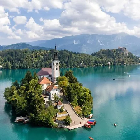 Alpine Bled